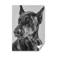 Doberman dog portrait for sale  SELBY