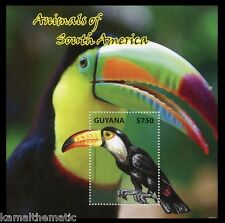 Pássaros, Toco Tucano, Guiana 2014 MNH SS, Animais da América do Sul [F1] comprar usado  Enviando para Brazil