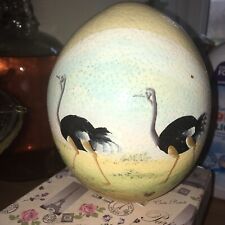 Ostrich egg for sale  USK