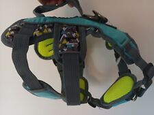 whippet harness for sale  BUNGAY