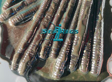 Artificial black lugworm for sale  Shipping to Ireland