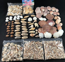 Mixed lot seashells for sale  Westlake