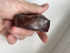 Dinosaur gem bone for sale  PORT TALBOT