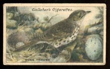 Tobacco card gallaher for sale  Shipping to Ireland