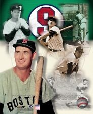 Ted williams boston for sale  Windsor