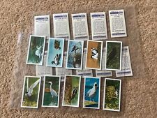 brooke bond tea cards british birds for sale  CLEVEDON