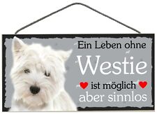 Türschild westie tierschild gebraucht kaufen  Lübeck