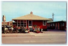 c1960's Knotty Pine Motel Roadside Rock Springs Wyoming WY Unposted Postcard, used for sale  Shipping to South Africa