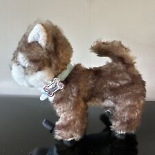 Generation husky puppy for sale  Williamsburg