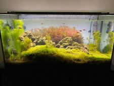 Aquarium 200l technik gebraucht kaufen  Boele