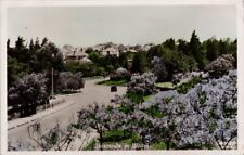 Jacaranda in Bloom South Africa Suid Afrika Pilot Stamp RPPC Postcard E82 for sale  Shipping to South Africa