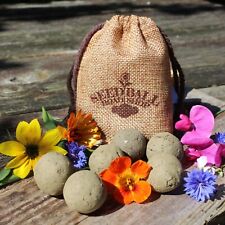 Bunte blumen seedballs gebraucht kaufen  Gronau