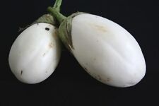 Wonder eggs eggplant for sale  Phoenix