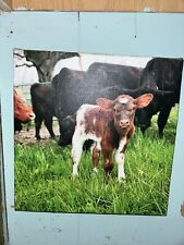Cow canvas wall for sale  Greensburg