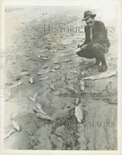 1947 Press Photo Bob Tanner inspecionando peixes em uma faixa de praia em Rockport, usado comprar usado  Enviando para Brazil
