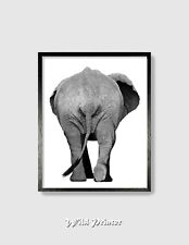 Elephant butt print for sale  Hollywood