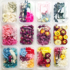 1 caixa de flores secas prensadas reais para artesanato em resina pingente fazer joias faça você mesmo comprar usado  Enviando para Brazil