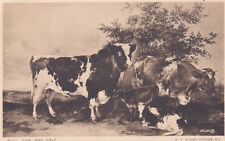 Old postcard bull for sale  Shipping to Ireland