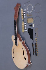 Used, DIY SOLID F-HOLE KENTUCKY STYLE LUITHIER DO IT YOURSELF ACOUSTIC MANDOLIN for sale  Shipping to South Africa