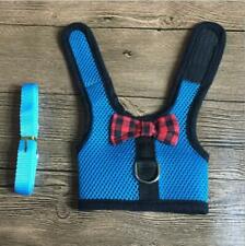 Tiny dog harness for sale  Shipping to United States