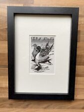 Pintail duck framed for sale  ENFIELD