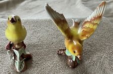 Yellow canary birds for sale  Trenton