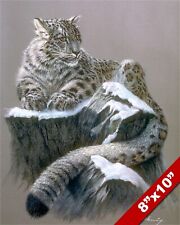 Resting snow leopard for sale  South Jordan