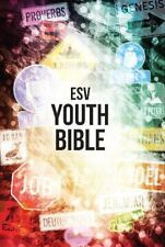 Esv youth bible for sale  AMMANFORD