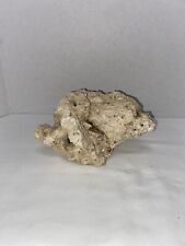 Dry natural coral for sale  El Mirage