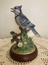 blue jay bird for sale  Rusk