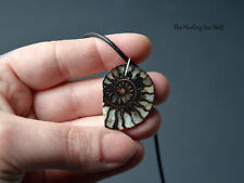 Ancient ammonite fossil for sale  LONDON
