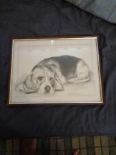 Pollyanna pickerimp beagle for sale  HAVERFORDWEST