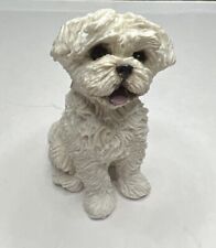 Sitting maltese puppy for sale  El Cajon