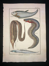 Bonnaterre eel knife d'occasion  Paris-