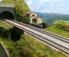 Plastico ferroviario diorama usato  Volterra