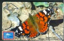 Gibraltar insect butterfly for sale  STOKE-ON-TRENT