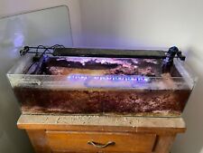 Fish fish tank for sale  GUILDFORD