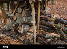 Brennholz verschenken balken gebraucht kaufen  Hohenschäftlarn