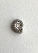 Gastropod fossil snail for sale  Jensen Beach