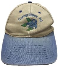 Cornerstone organic blueberry for sale  Chesterfield