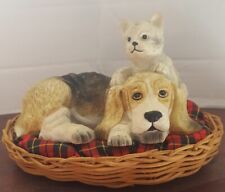 Hound dog kitten for sale  Radcliff
