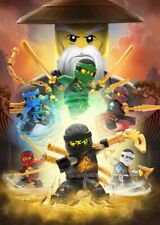 Lego ninjago movie gebraucht kaufen  Versand nach Germany