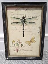 Dragonfly butterfly framed for sale  STAFFORD