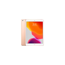 Apple iPad 7ª Geração 10,2 polegadas 2019 SOMENTE WIFI - Excelente comprar usado  Enviando para Brazil