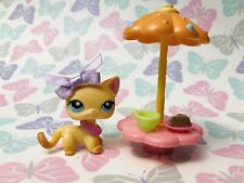 Littlest pet shop for sale  Raymondville