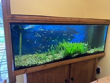 Rio 400 aquarium for sale  ASHFORD