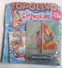 Topolino presenta catamarano usato  Verona