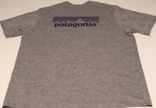 Patagonia capilene shirt for sale  Chandler