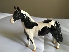 Beswick pinto pony for sale  MELTON MOWBRAY