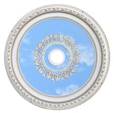 Round chandelier ceiling for sale  Chantilly